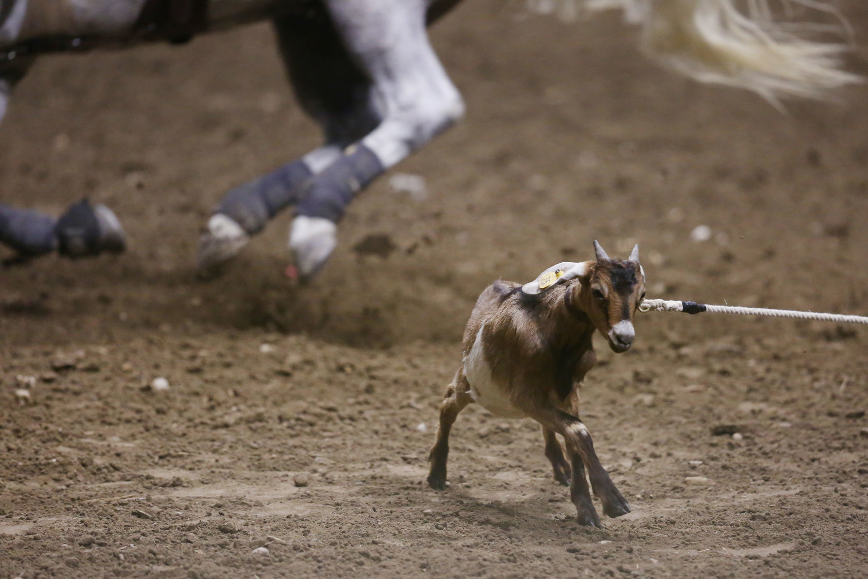 CNFR